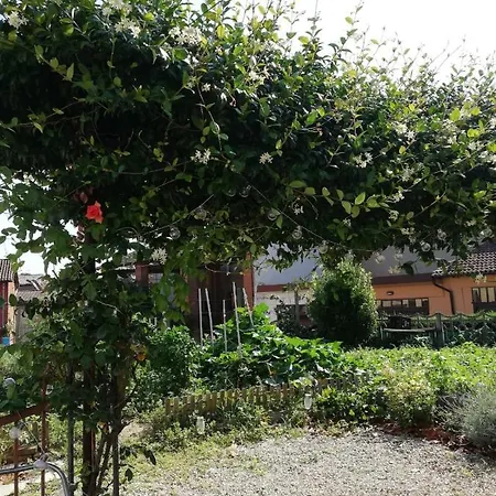 La Casetta Di Pio Bed & Breakfast Fresonara (Piedmont)